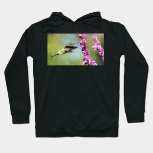 Anna's Hummingbird in Flight Hoodie